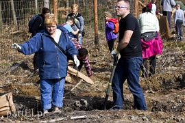 Zasadzili tysiąc nowych drzew