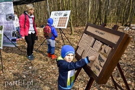 Zasadzili tysiąc nowych drzew