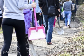 Zasadzili tysiąc nowych drzew