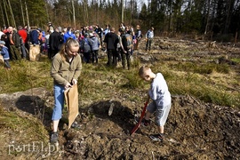 Zasadzili tysiąc nowych drzew
