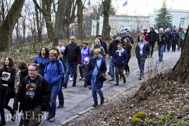 Sowy szukaj i nasłuchuj nocą (Opowieści z lasu, odc. 56)