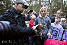 Sowy szukaj i nasłuchuj nocą (Opowieści z lasu, odc. 56)