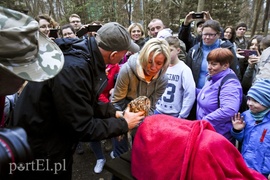 Sowy szukaj i nasłuchuj nocą (Opowieści z lasu, odc. 56)