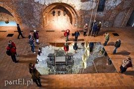 Chaos społeczny w Galerii EL