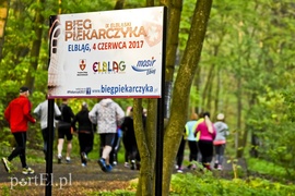 Przyszli, bo chcą biegać