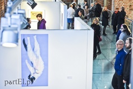 Galeria pełna sztuki regionu