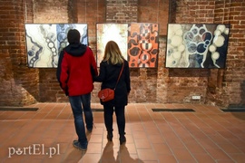 Galeria pełna sztuki regionu