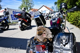 Po warkocie ich poznacie!