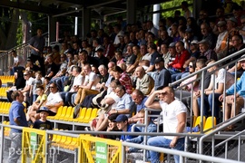 Remis uratowany w ostatniej chwili