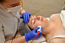 Drugi tydzień Metamorfozy Drugi tydzień Metamorfozy