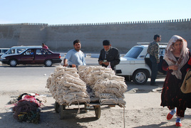 Hipisów szukaj w Kirgistanie