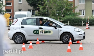 Oto mistrzowie kierownicy