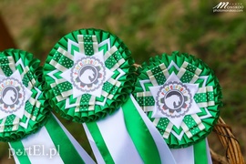 Namłodsi jeźdzcy na starcie