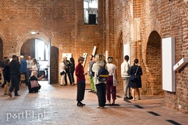 Artystyczne lwy Salonowe