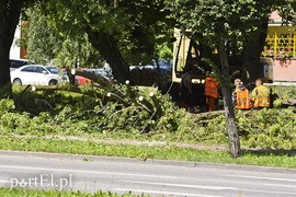 Drzewo spadło prosto na jadące auto