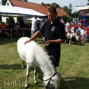 Pony Cup, czyli rośnie nowe pokolenie jeźdźców