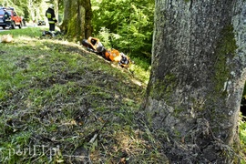 Uderzył w auto, którym jechał poszukiwany przez policję