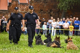 Z takim psem nie ma żartów