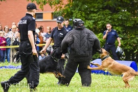 Z takim psem nie ma żartów