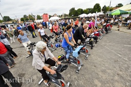 Z takim psem nie ma żartów