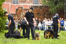 Z takim psem nie ma żartów