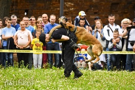 Z takim psem nie ma żartów
