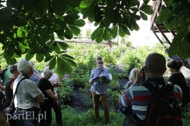 Tajemnice Kumieli odkryte