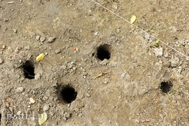 Po legendarnym tunelu nie ma na razie śladu