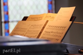 Śladami elbląskich organów