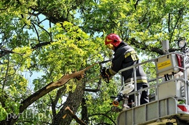 Braterska dominacja na elbląskim boisku
