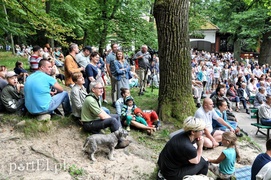 Depesze z Elbląga poszli w las