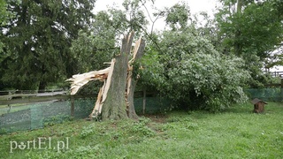 Burza szalała nad regionem