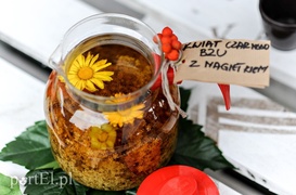 Biblioteka serem pachnąca