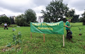\"Oni tną, my sadzimy\"