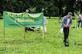 \"Oni tną, my sadzimy\"