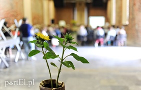 Tu jadano smacznie i pomysłowo