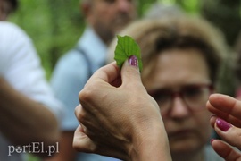 Wczoraj Vogelsang, dzisiaj Bażantarnia
