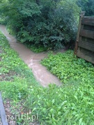 Woda zaogniła problem