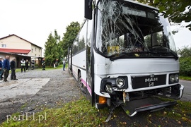 Autokar z dziećmi uderzył w drzewo