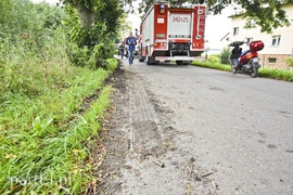 Autokar z dziećmi uderzył w drzewo