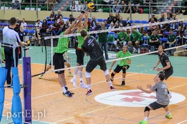 Lotos Trefl triumfuje na elbląskim turnieju