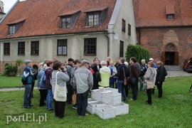 Reformacja po elbląsku