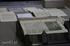 Reformacja po elbląsku