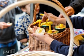 Jadą przez kraj, żeby pomóc pszczołom