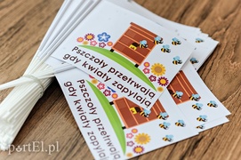 Jadą przez kraj, żeby pomóc pszczołom