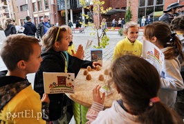 Jadą przez kraj, żeby pomóc pszczołom