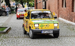 Jadą przez kraj, żeby pomóc pszczołom