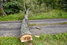 Strażacy kontra żywioł. Wielkie ćwiczenia we Fromborku