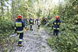 Strażacy kontra żywioł. Wielkie ćwiczenia we Fromborku