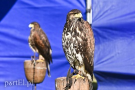 Raj dla fanów lotnictwa